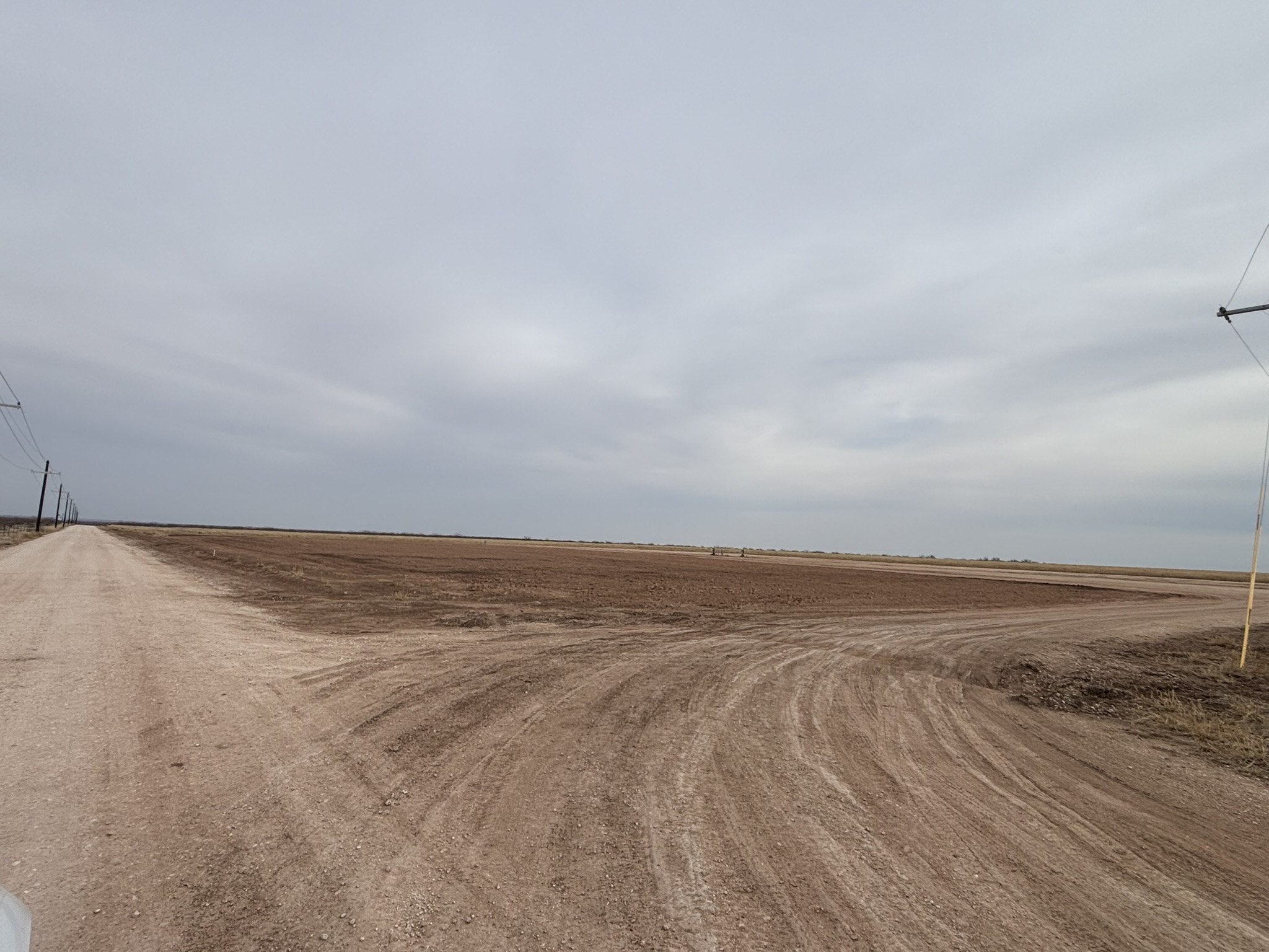 Professional execution